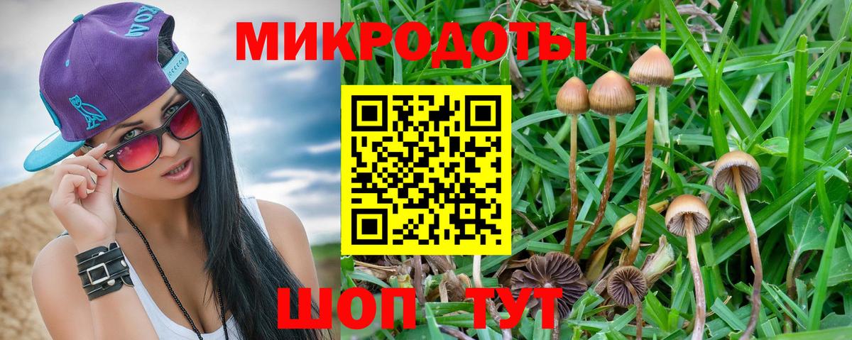 Галлюциногенные грибы Cubensis Борисоглебск